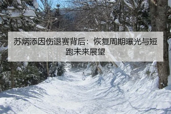 苏炳添因伤退赛背后：恢复周期曝光与短跑未来展望
