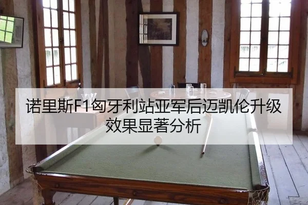 nuo-li-si-xiong-ya-li-zhan-ya-jun-hou-mai-kai-lun-sheng-ji-xiao-guo-xian-zhu-fen-xi-2-193.jpg